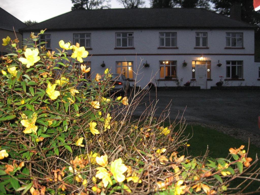 Hotel Woodlawn House à Killarney Extérieur photo